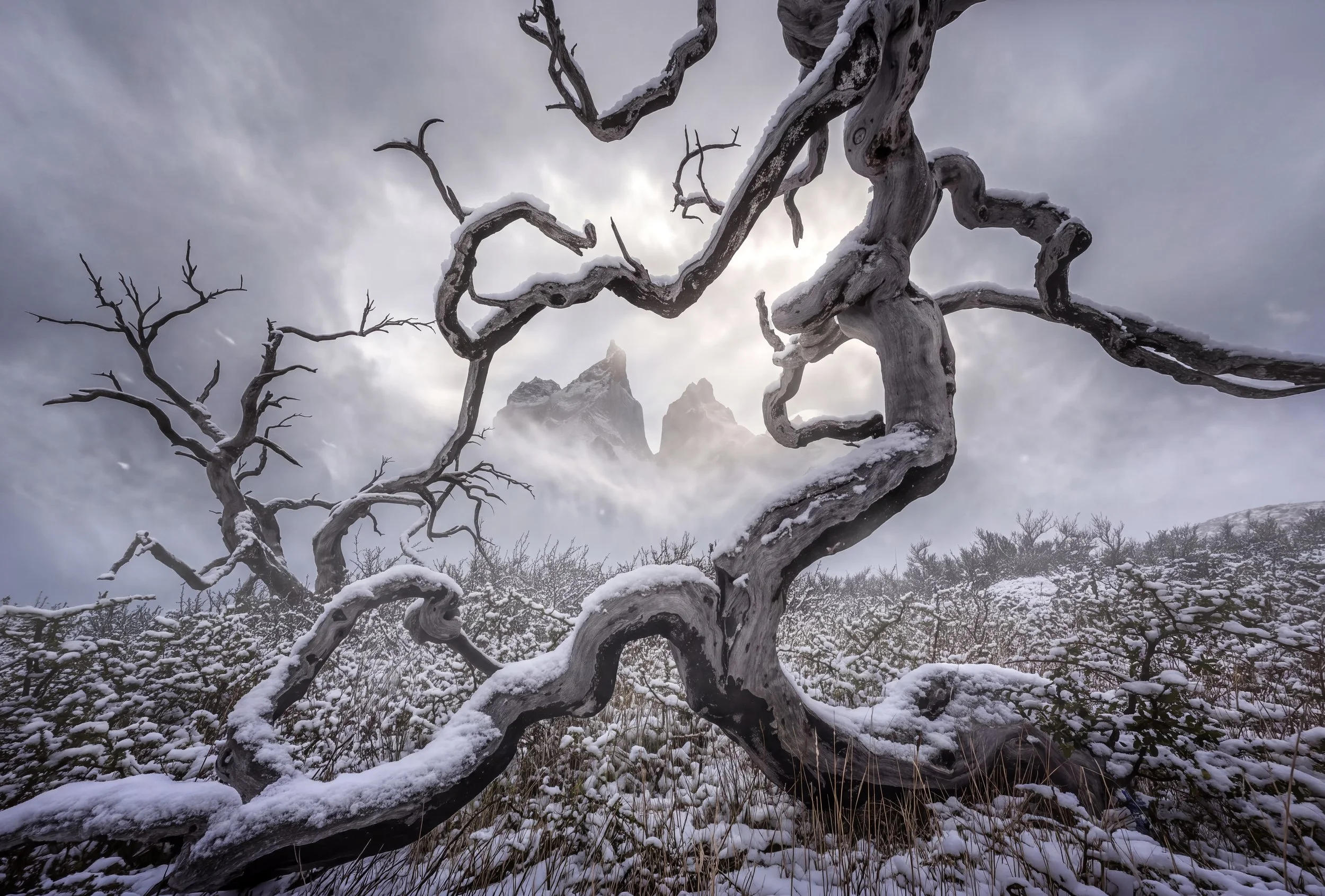 Winter in Patagonia | Landscape Photography — Timothy Poulton